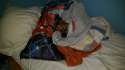 IMAG0086.jpg