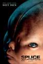 dren.jpg