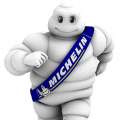 WhyMichelin.jpg