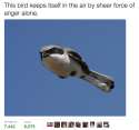 1474495663301.png