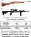 Assault weapon.jpg