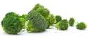 raw-broccoli.jpg
