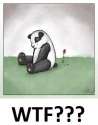 sadpanda.jpg