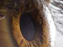 eyetexture.jpg