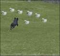 14709427060290-b.gif