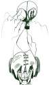 Peace by death.png