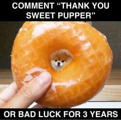 GOOD LUCK.jpg