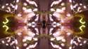 _MG_5472160peditedmaslower.jpg