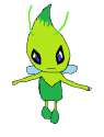 celebi.png