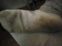 DSC04396.jpg