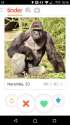 tinder.jpg