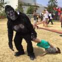 harambeen.jpg