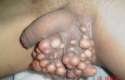 carters-nuts.jpg