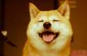 ^F5E352412ED670BA9FA044CE30EEE2ECBF2A37BA562A3C8FBB^pimgpsh_fullsize_distr.png