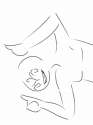 Sketch310143759.png