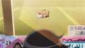 meow2.gif