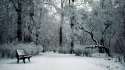 snow-wallpaper-laptop.jpg
