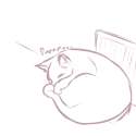 meer40.png