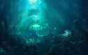 aquatic.jpg