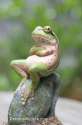 frog-pondering.jpg