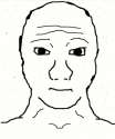 Untitled.png