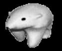 14018055_1060550277327166_895244933_n.gif
