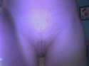 ashleyvagina.jpg