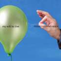 1471415093443.jpg