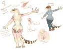 1319754698.paint_mediterraneanhousegeckodesign.png