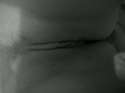 IMG01338-20111217-2357.jpg