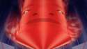 Mcp.png