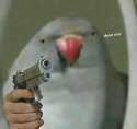 4L_Rad4OHU5.jpg