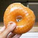 donutpupper.jpg