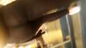 SpyPhoto_20160429_132626600.jpg