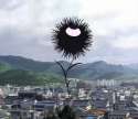 aku-no-hana-flower1stpic.jpg