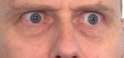 MFW.png