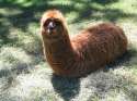 llamaworm.jpg