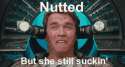 Nutted_c111a4_4933357.gif