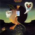 Nick-Drake-Pink-Moon.jpg