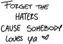 goosequote.jpg