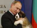 putin dog.jpg