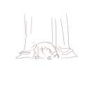 bogs.png
