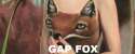 ur a faggot and ur boyfriend is a sparklefox.jpg