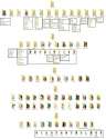 subfolders.jpg