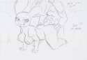 Nidorina18b.jpg