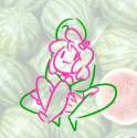 pinis.png