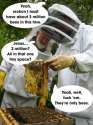 Bees.jpg