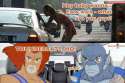Thundercats.jpg