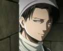 Levi.jpg
