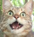 Amazed.jpg